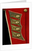 Coatee - tail detail, Royal Marines uniform: pattern 1830 by unknown