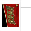 Coatee - tail detail, Royal Marines uniform: pattern 1830 by unknown