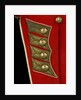 Coatee - tail detail, Royal Marines uniform: pattern 1830 by unknown