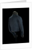 Round jacket - back, Honourable East India Company: pattern 1830 by unknown