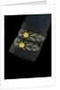 Round jacket - cuff detail, Honourable East India Company: pattern 1830 by unknown