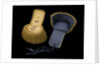 Epaulettes by unknown
