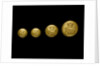 Buttons by P. & S. Firmin