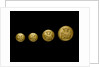 Buttons by P. & S. Firmin