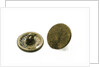 Buttons by unknown