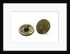 Buttons by unknown