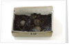 Coat fragment by unknown