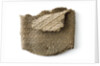 Cigar case by unknown
