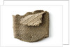 Cigar case by unknown