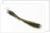 Bristles by unknown