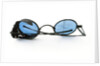 Tinted spectacles by unknown