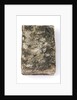 French New Testament' front by unknown