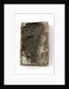 French New Testament' back by unknown