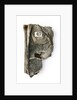 New Testament - fragment by unknown