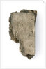New Testament - fragment by unknown
