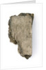 New Testament - fragment by unknown