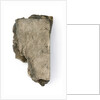 New Testament - fragment by unknown
