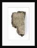 New Testament - fragment by unknown