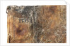 Bible - back by unknown