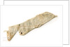 Shirt fragment by unknown