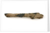 Timber fragment by unknown