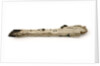 Timber fragment by unknown