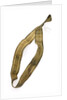 Ribbon by unknown