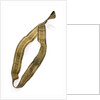 Ribbon by unknown