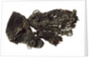 Glove fragment by unknown