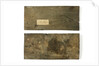 Elm boards by unknown
