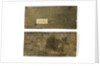 Elm boards by unknown