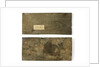 Elm boards by unknown