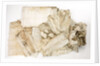 Bandages from medicine chest by unknown