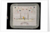 An embroidered silk cushion, showing HMS 'Surprise' by unknown