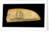 Whale tooth by unknown
