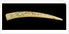 A cribbage board and two pegs, carved from a walrus tusk with a polar bear, walrus head, and three seals carved in relief by Inuit