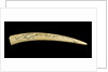 A cribbage board and two pegs, carved from a walrus tusk with a polar bear, walrus head, and three seals carved in relief by Inuit