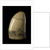 Whale tooth by unknown