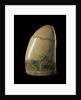 Whale tooth by unknown