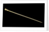 A whalebone walking stick with a brass ferule by William Tolley Brookes