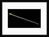 A whalebone walking stick with a brass ferule by William Tolley Brookes