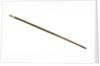 Walking stick by unknown