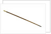 Walking stick by unknown