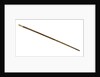 Walking stick by unknown