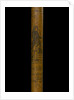 Walking stick by unknown