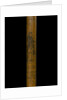 Walking stick by unknown