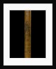 Walking stick by unknown