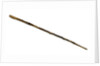 Walking stick by unknown