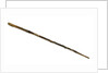 Walking stick by unknown