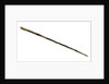 Walking stick by unknown